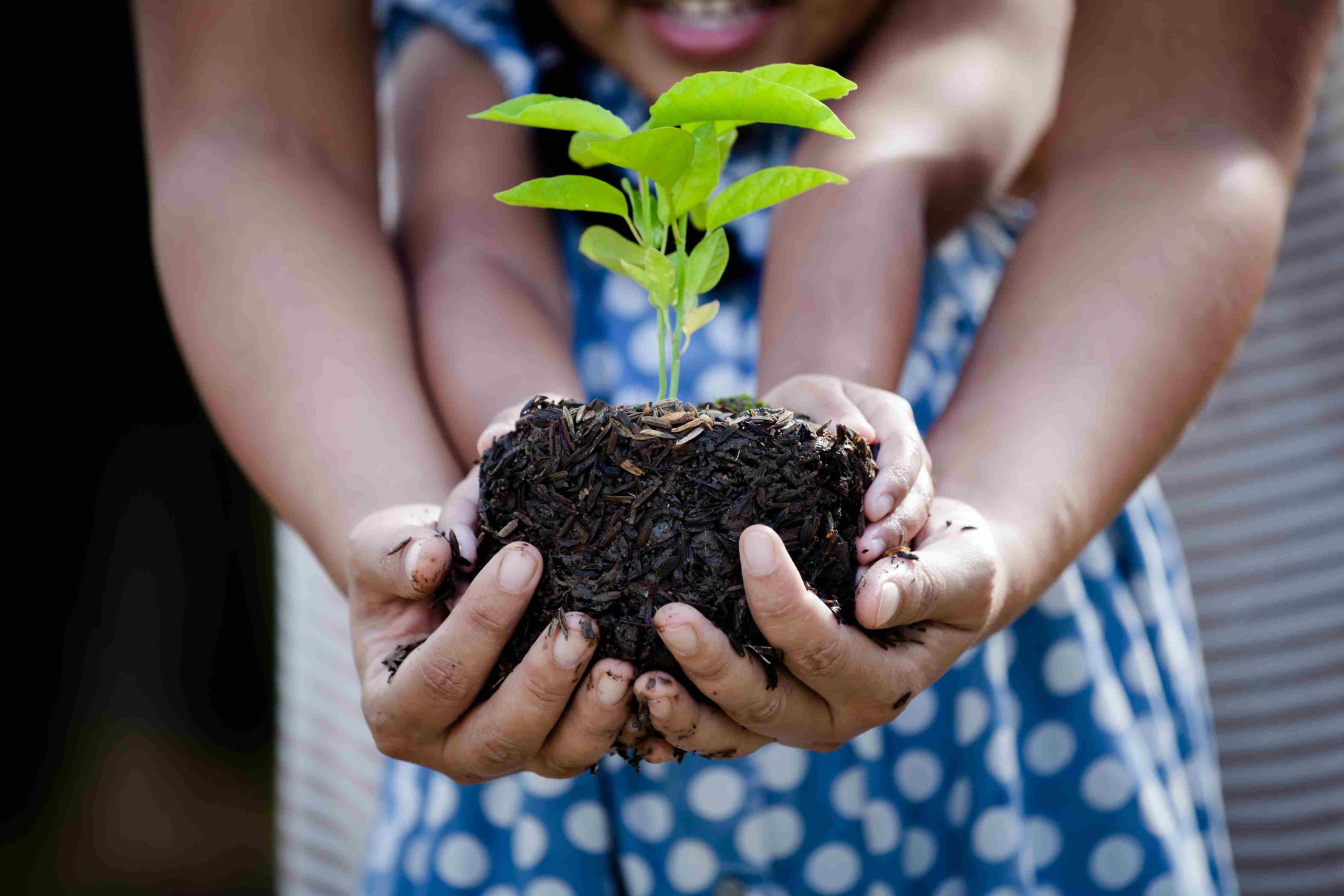 Leia mais sobre o artigo Dicas de como incentivar crianças a preservar o Meio Ambiente
