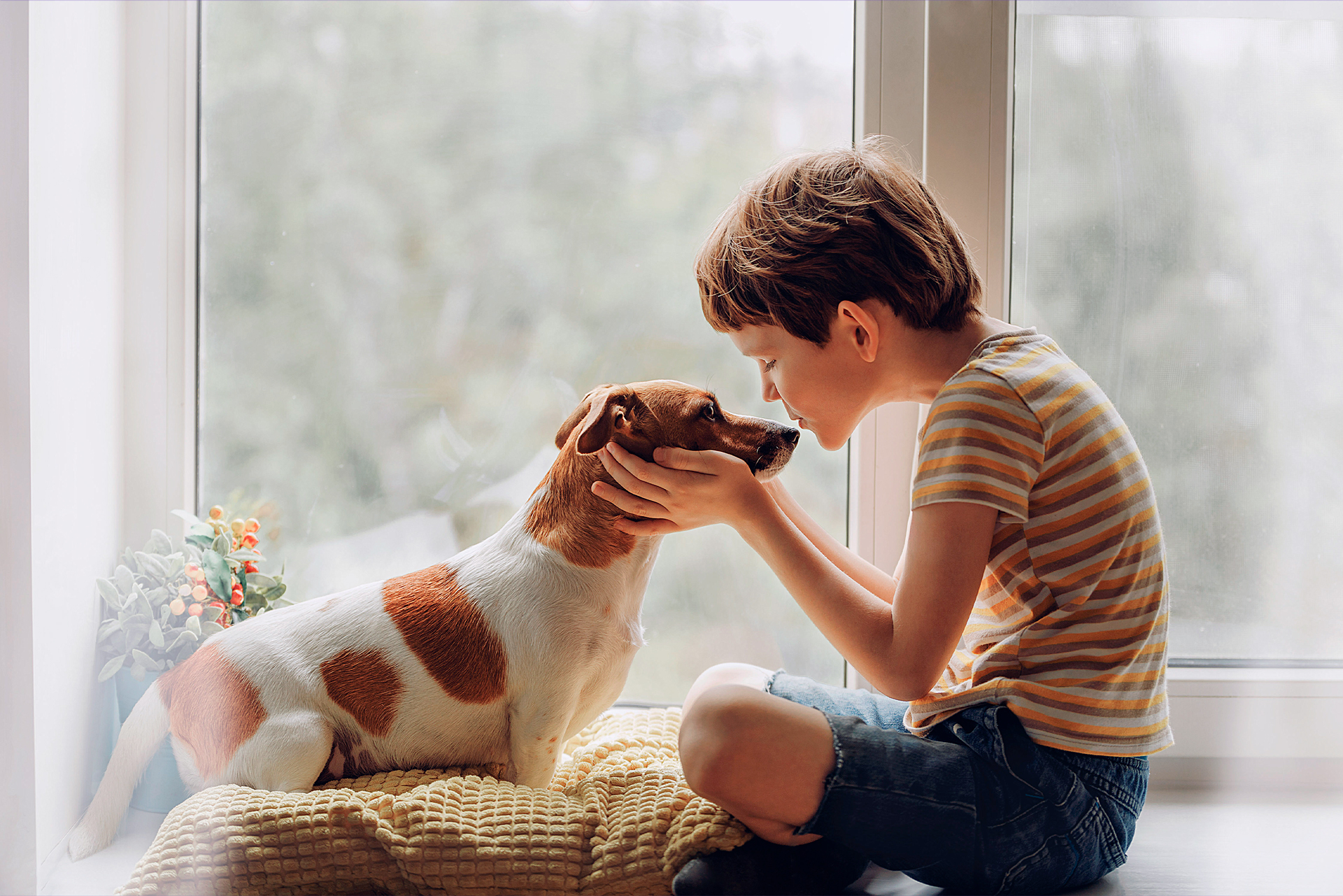 Leia mais sobre o artigo Dia 04 de outubro – Dia dos Animais: benefícios dos animais de estimação para crianças