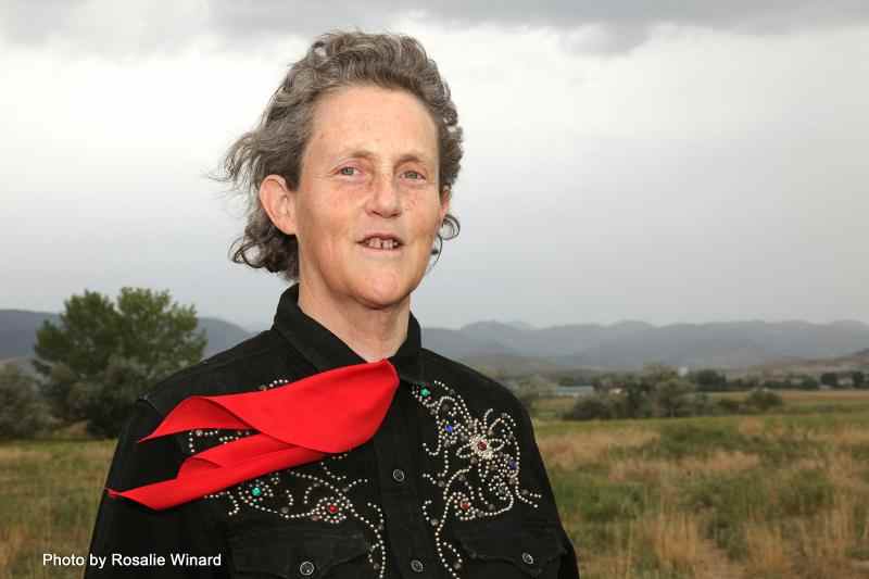 temple grandin 0